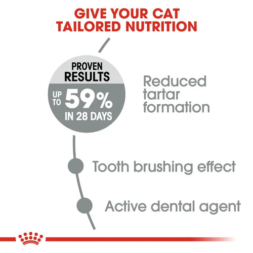 Royal Canin Cat Dental Care Dry Food
