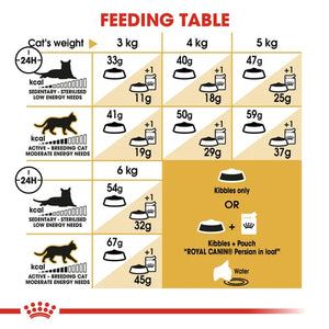 Royal Canin Cat Persian Dry Food