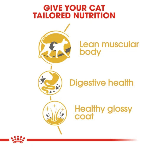 Royal Canin Cat Siamese Dry Food