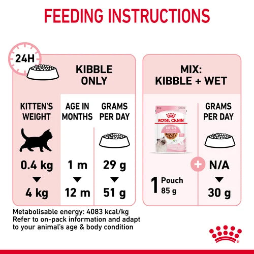 Royal Canin Kitten Dry Food