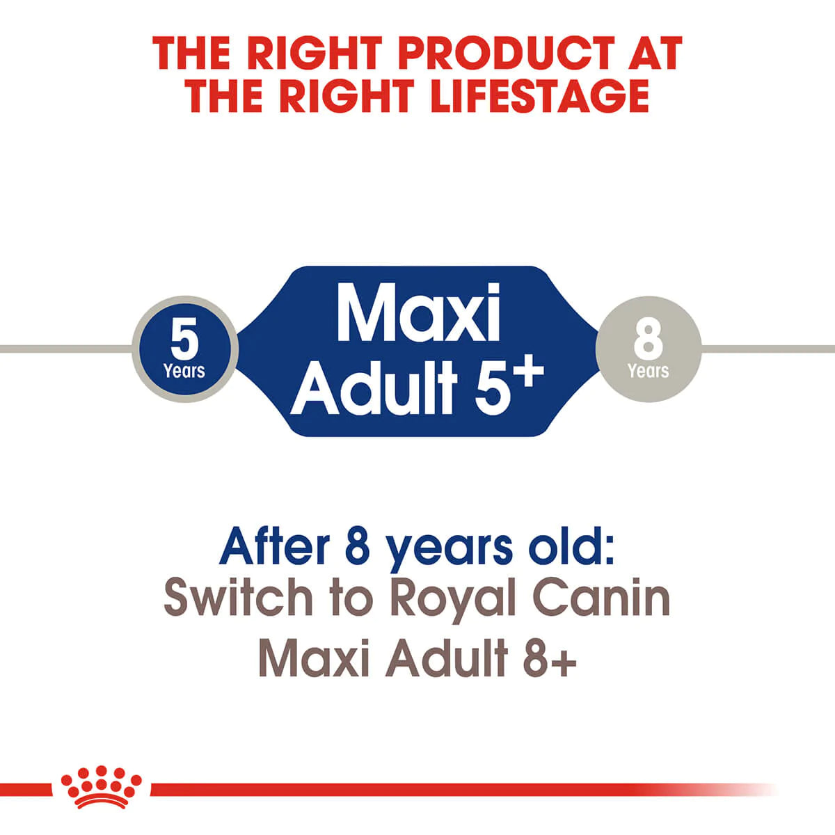 Royal Canin Maxi Adult 5 Plus Dry Dog Food
