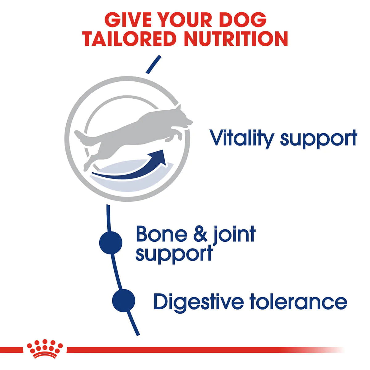 Royal Canin Maxi Adult 5 Plus Dry Dog Food