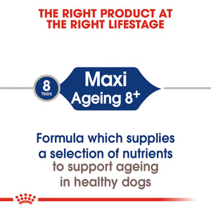 Royal Canin Maxi Ageing 8 Plus Senior Dry Dog Food