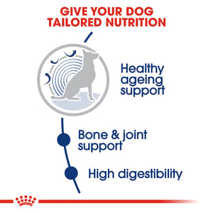 Royal Canin Maxi Ageing 8 Plus Senior Dry Dog Food