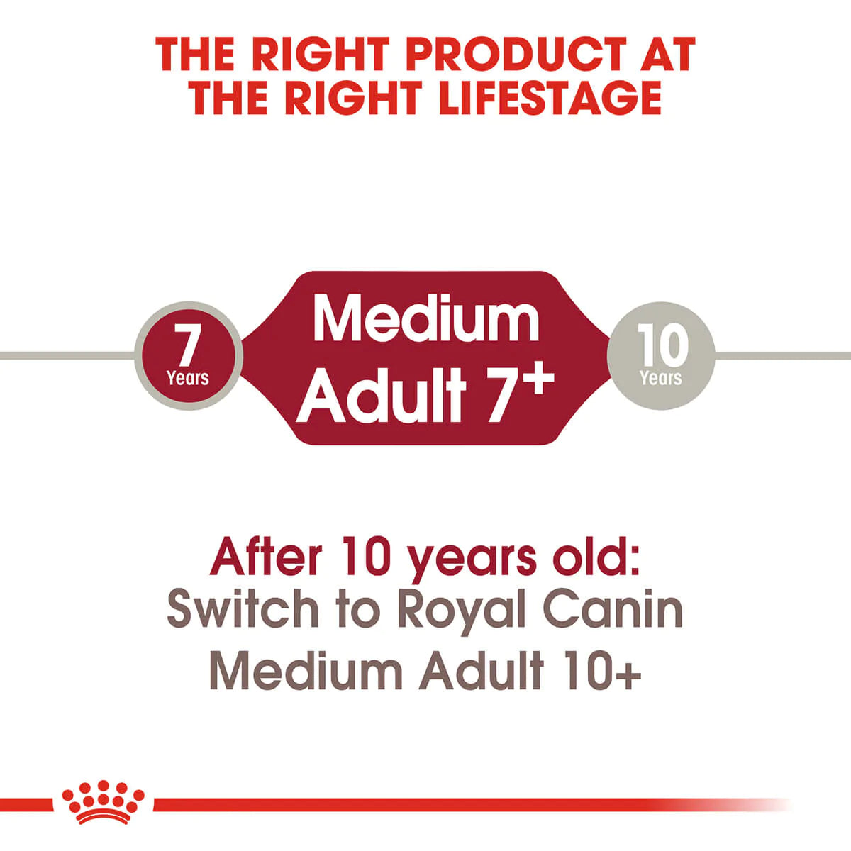 Royal Canin Medium Adult 7 Plus Dry Dog Food