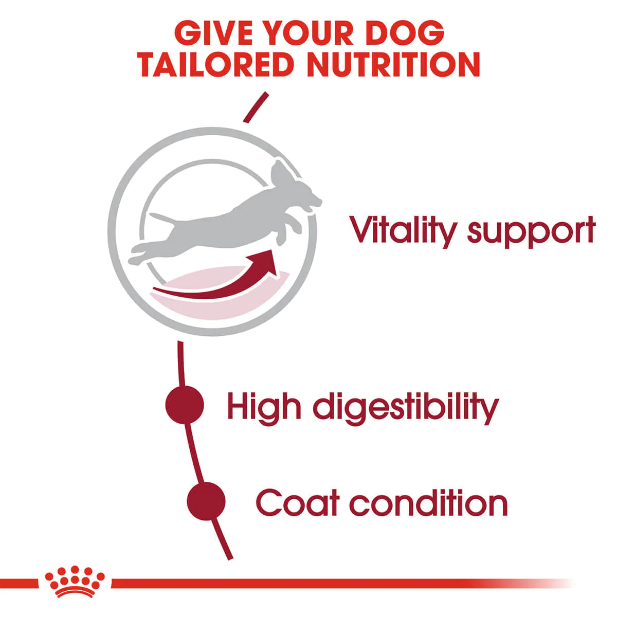 Royal Canin Medium Adult 7 Plus Dry Dog Food
