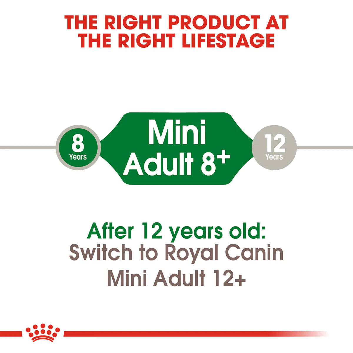 Royal Canin Mini Adult 8 Plus Dry Dog Food