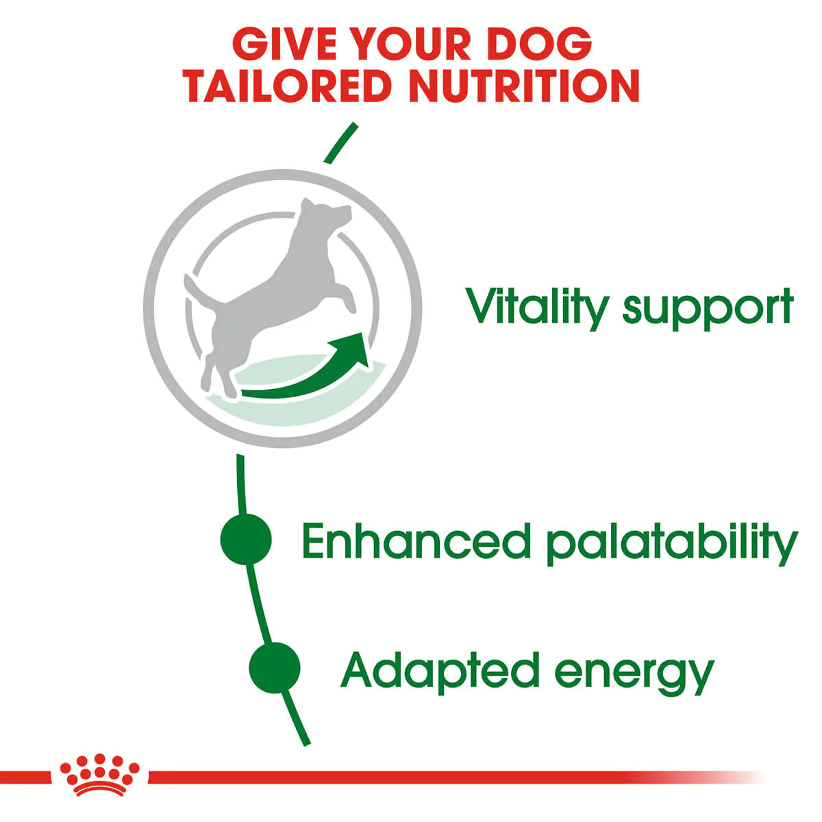 Royal Canin Mini Adult 8 Plus Dry Dog Food