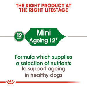 Royal Canin Mini Ageing 12 Plus Senior Dry Dog Food