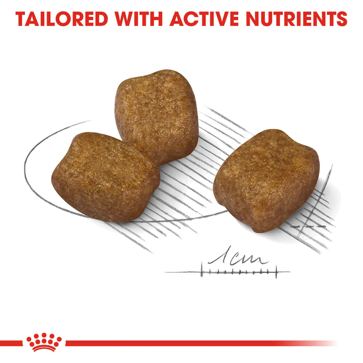 Royal Canin Mini Dental Care Adult Dry Dog Food