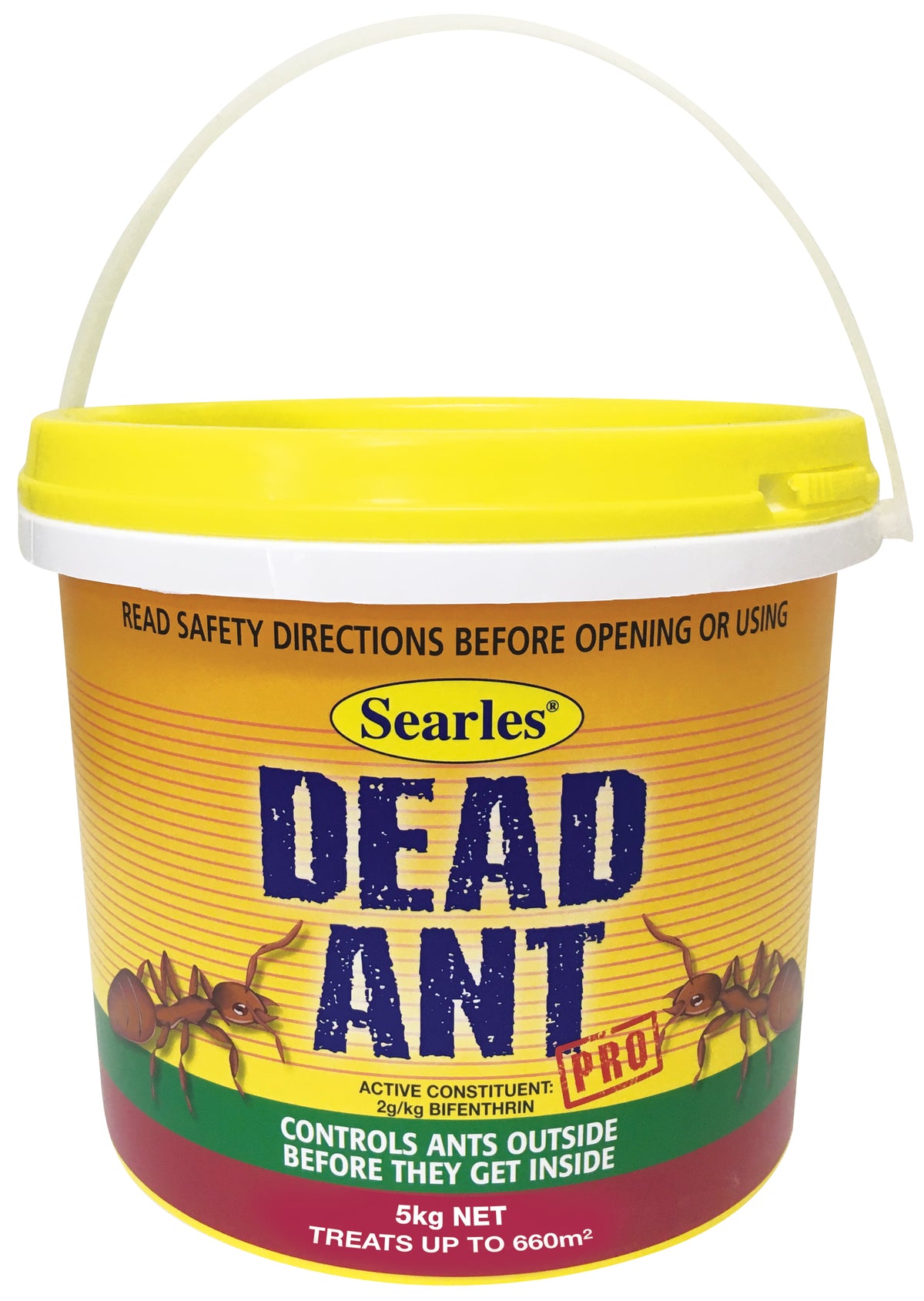 Searles Dead Ant