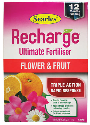 Searles Recharge Flower and Fruit