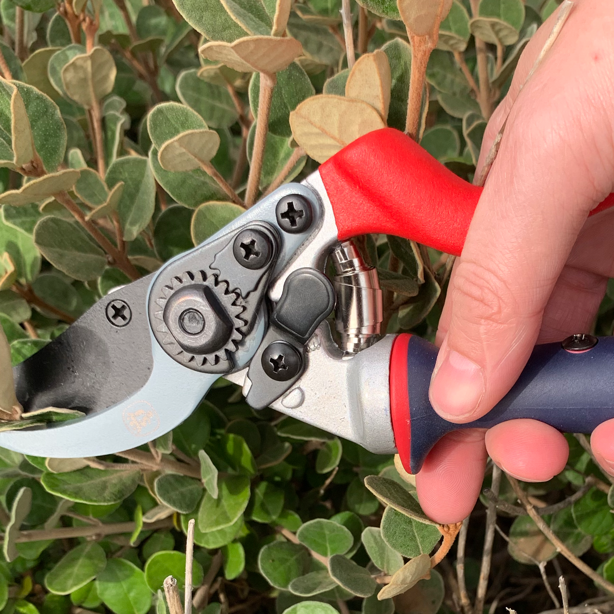 Spear and Jackson Bypass Secateur Razorsharp Advance - Ergo Twist