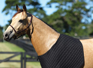 Showmaster Quilted Rug Bib