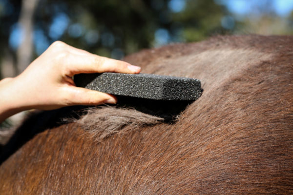 Slick N Easy Grooming Block - Brookies Rural Traders