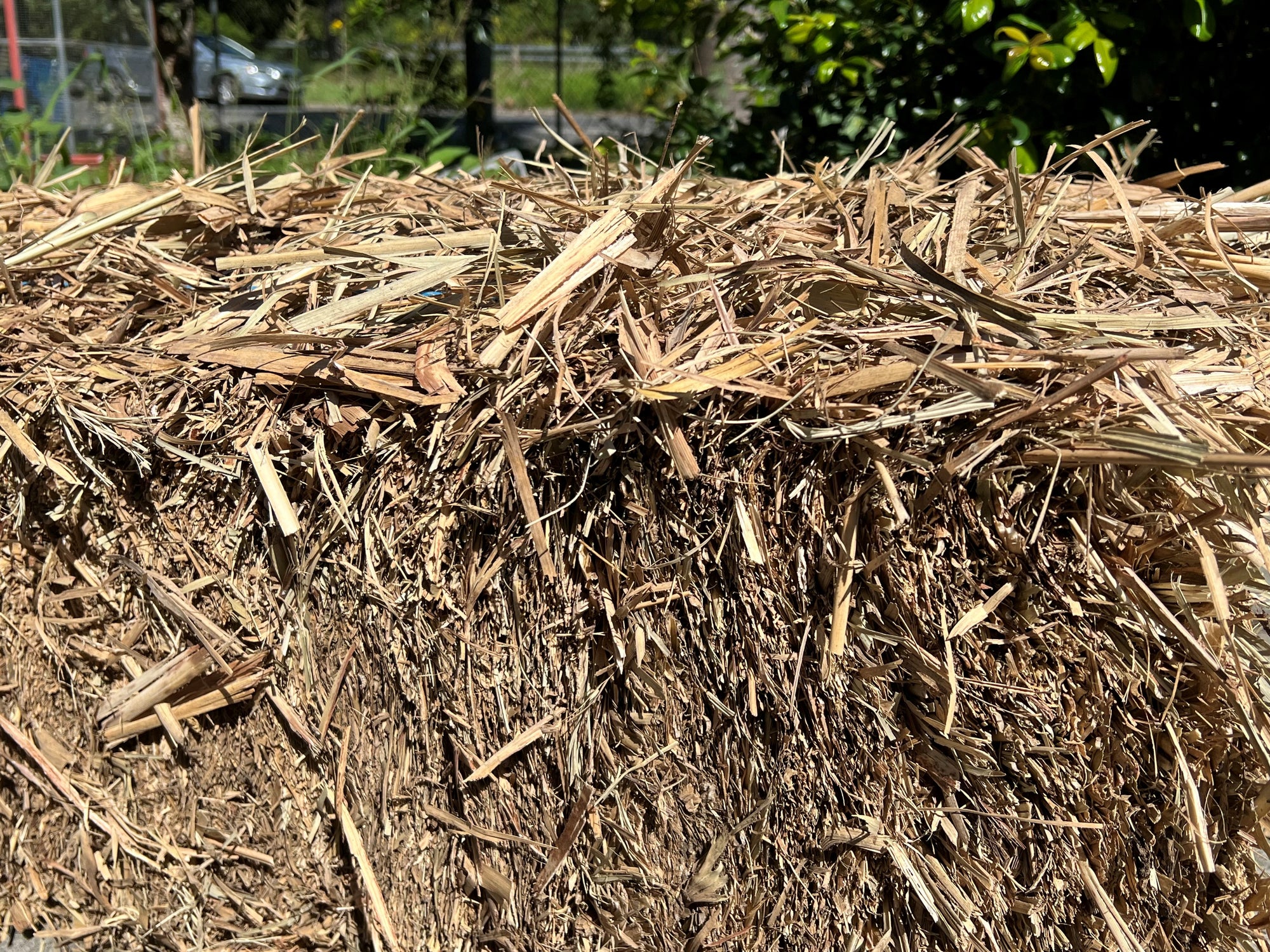 Sugar Cane Mulch