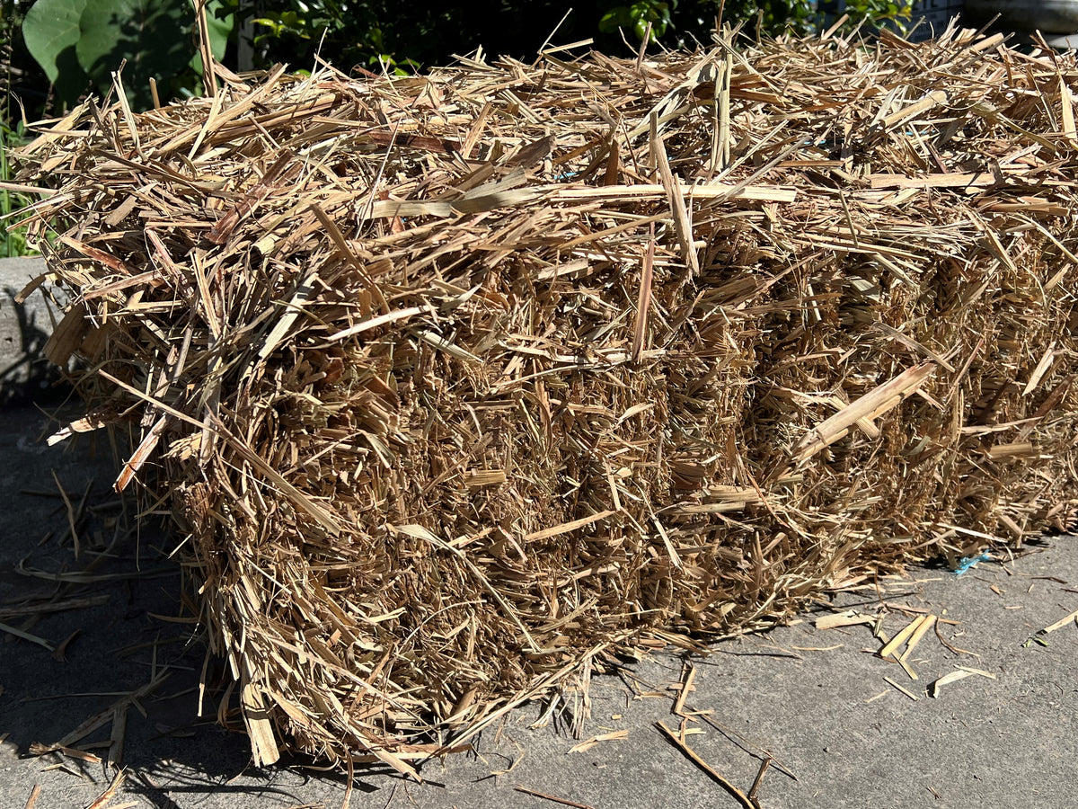 Sugar Cane Mulch Brookies Rural Traders
