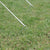 Jack Tent Pegs 4mm x 175mm