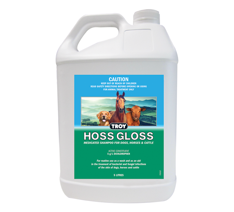 Troy Hoss Gloss