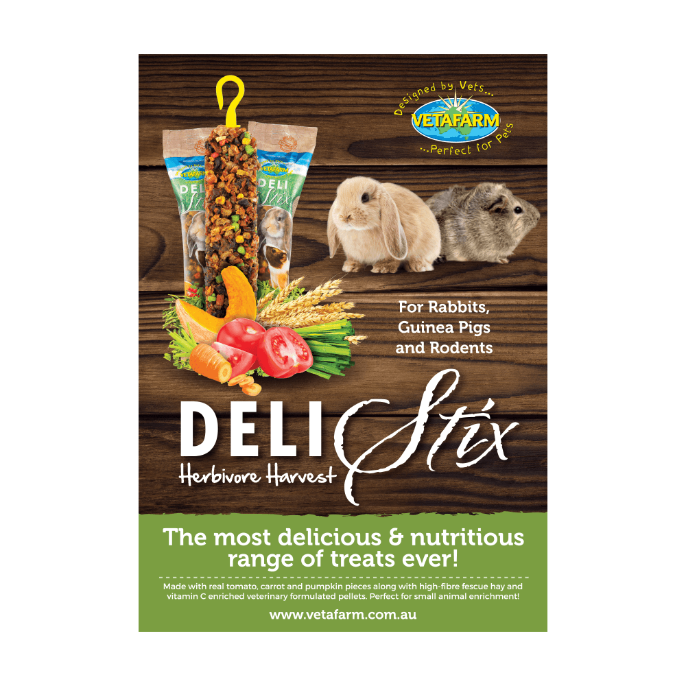 Vetafarm Delistix Herbivore Harvest 80g