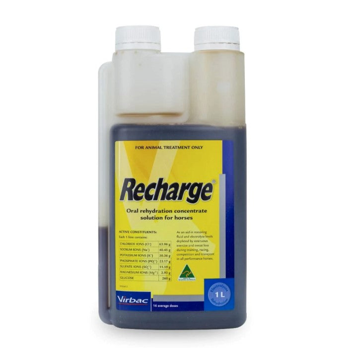 Virbac Recharge for Horses