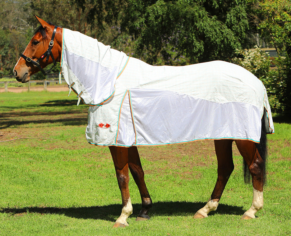 Zilco Economy Hybrid Combo Rug