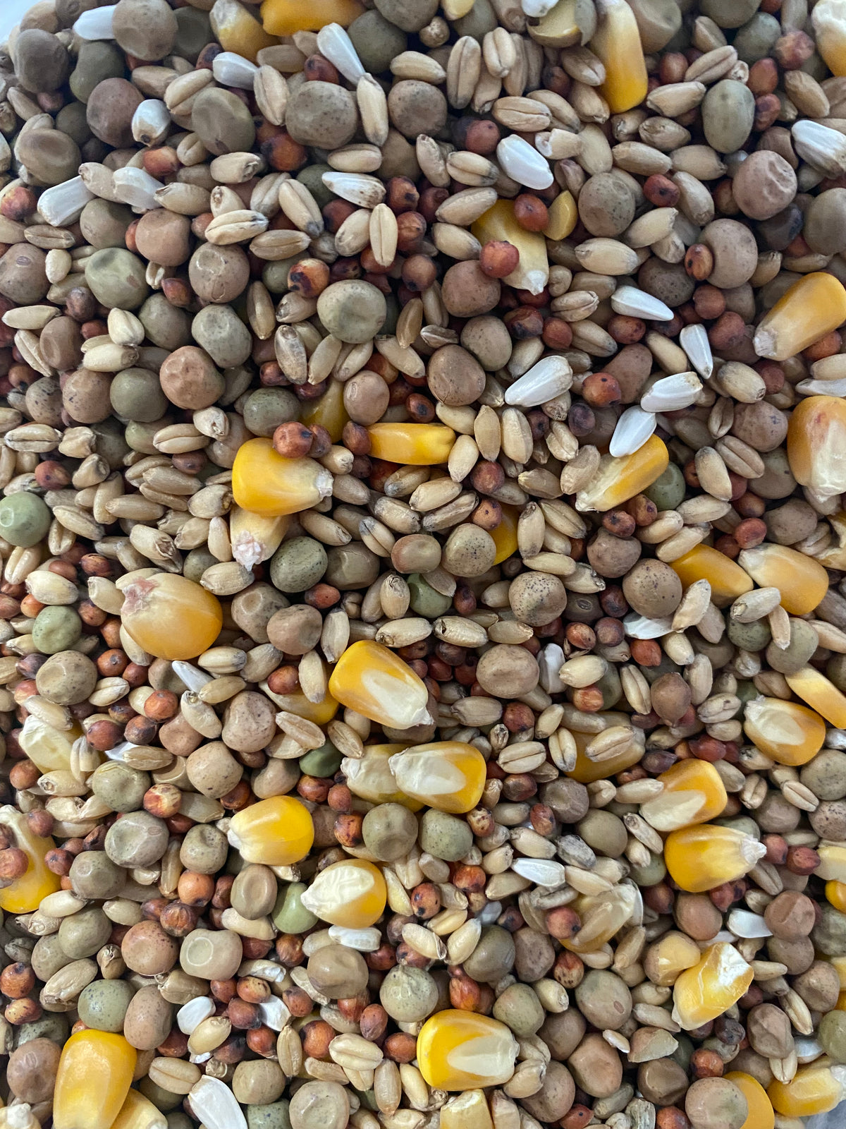 Avigrain Pigeon Mix