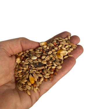 Avigrain Budget Wild Bird Mix