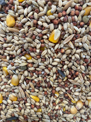 Avigrain Budget Wild Bird Mix