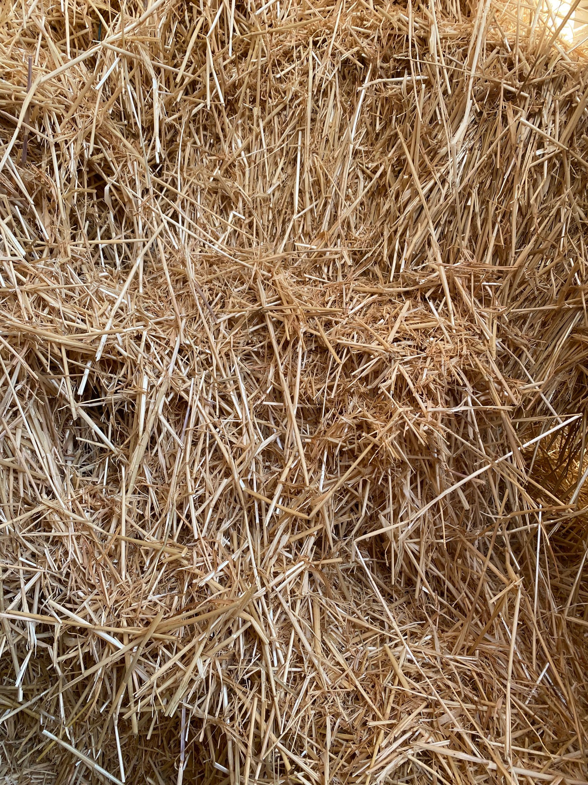 Barley Straw Brookies Rural Traders
