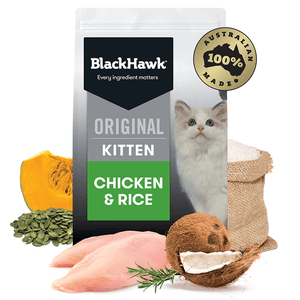 Black Hawk Kitten Chicken and Rice Dry Food