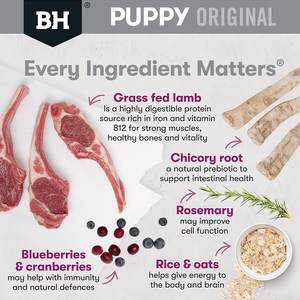 Black Hawk Puppy Medium Breed Lamb and Rice Dry Dog Food