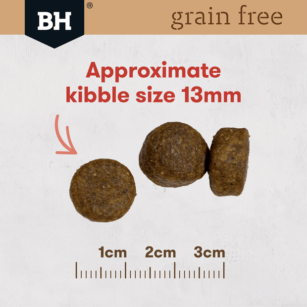 Black Hawk Grain Free Adult Kangaroo Dry Dog Food