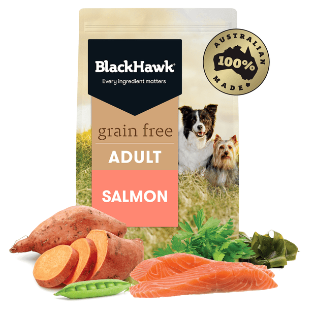 Black Hawk Grain Free Adult Salmon Dry Dog Food