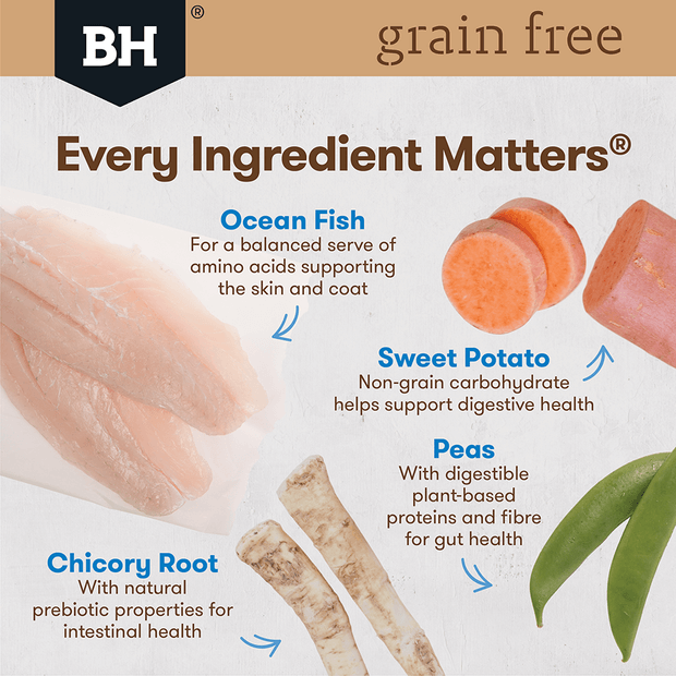 Black hawk grain free puppy hotsell