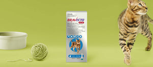 Bravecto Plus for Medium Cats 2-6kg Blue