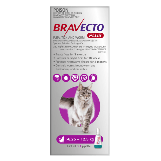 Bravecto Plus for Large Cats 6-12kg Purple