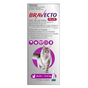 Bravecto Plus for Large Cats 6-12kg Purple