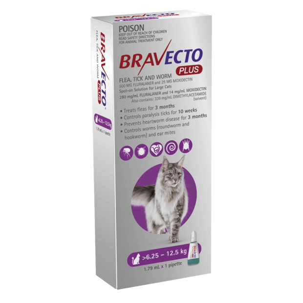 Bravecto Plus for Large Cats 6-12kg Purple