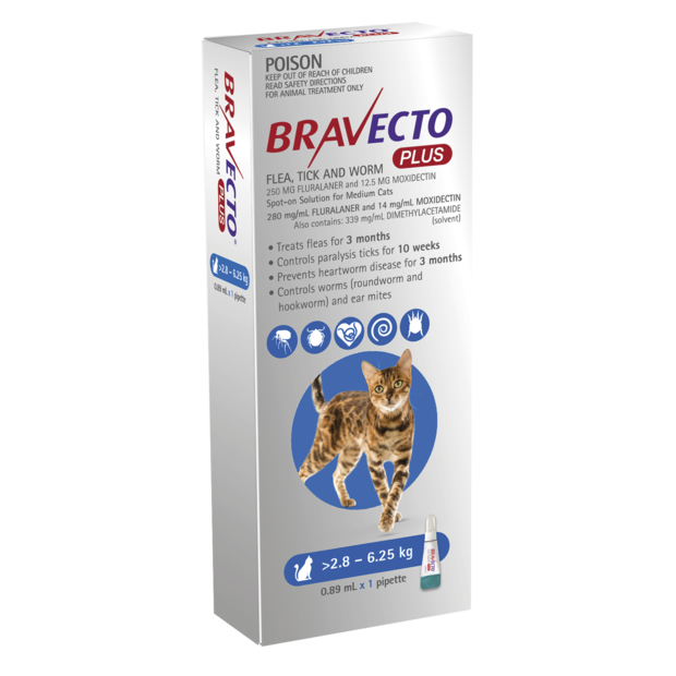 Bravecto Plus for Medium Cats 2 6kg Blue Brookies Rural Traders