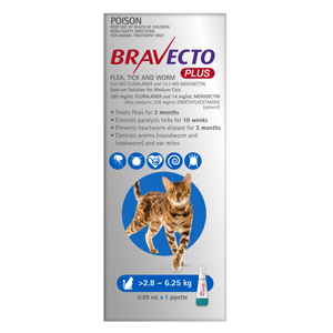 Bravecto Plus for Medium Cats 2-6kg Blue