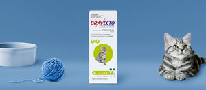 Bravecto Spot On for Small Cats 1-2.8kg Green