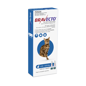 Bravecto Spot On for Medium Cats 2-6kg Blue