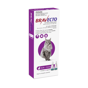 Bravecto Spot On for Large Cats 6-12kg Purple