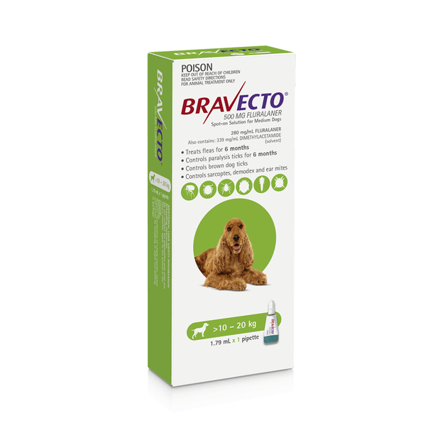 Bravecto Spot On for Medium Dogs 10-20kg Green