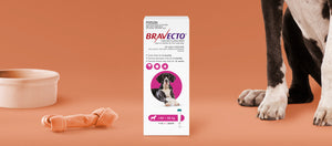 Bravecto Spot On for Extra Large Dogs 40-56kg Pink
