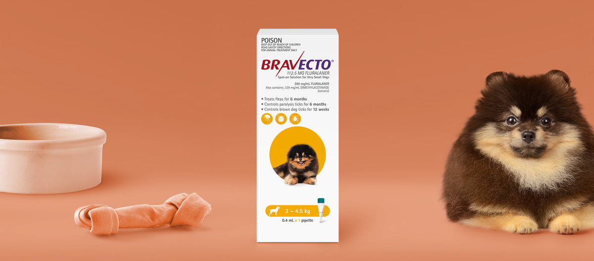Bravecto Spot On for Extra Small Dogs 2-4.5kg Yellow