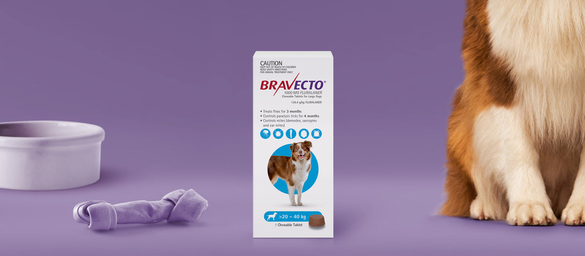 Bravecto 3 Month Chew for Large Dogs 20 40kg Blue Brookies Rural Traders