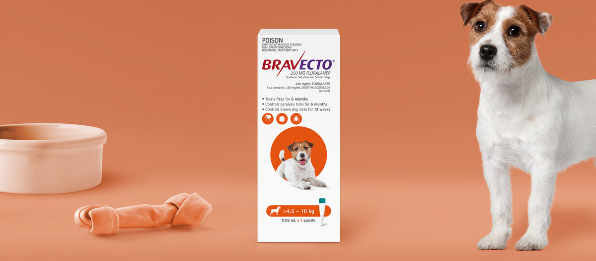 Bravecto Spot On for Small Dogs 4-10kg Orange