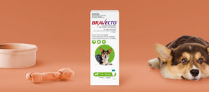 Bravecto Spot On for Medium Dogs 10-20kg Green